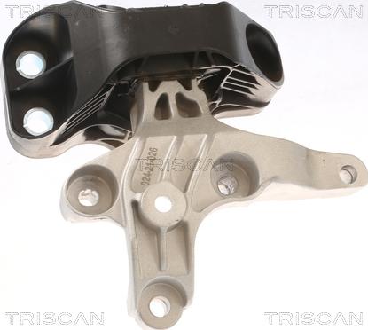 Triscan 8505 25121 - Support moteur droxauto.com