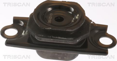 Triscan 8505 25123 - Support moteur droxauto.com