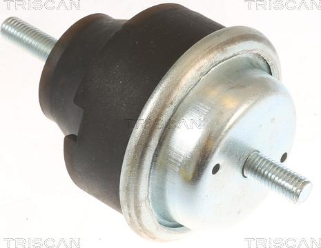 Triscan 8505 28106 - Support moteur droxauto.com