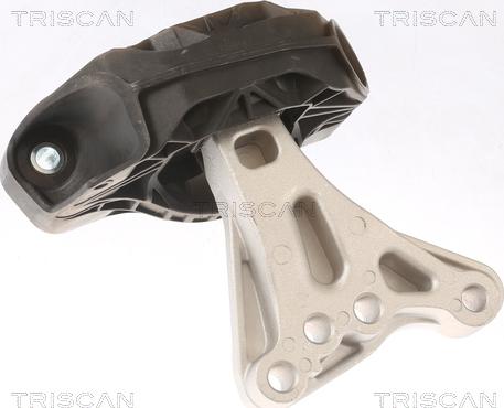 Triscan 8505 28115 - Support moteur droxauto.com