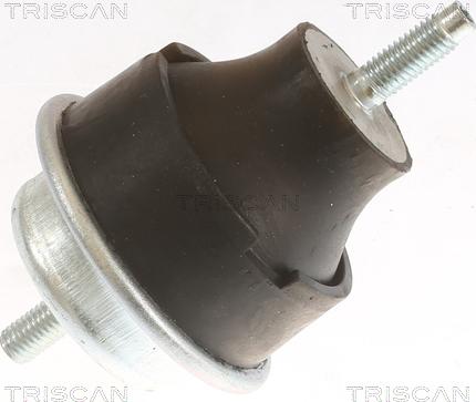 Triscan 8505 28113 - Support moteur droxauto.com