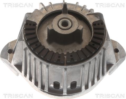 Triscan 8505 23107 - Support moteur droxauto.com