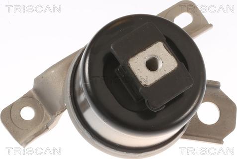 Triscan 8505 27107 - Support moteur droxauto.com