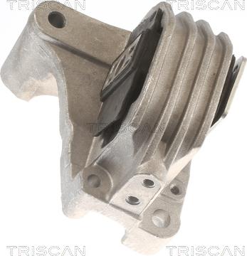 Triscan 8505 27111 - Support moteur droxauto.com
