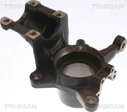 Triscan 8500 15701 - Fusée d'essieu, suspension de roue droxauto.com