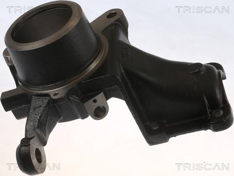 Triscan 8500 15708 - Fusée d'essieu, suspension de roue droxauto.com