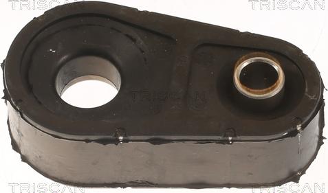 Triscan 8500 10665 - Entretoise / tige, stabilisateur droxauto.com
