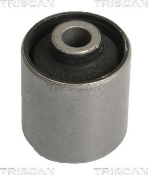 Triscan 8500 10810 - Suspension, corps de l'essieu droxauto.com