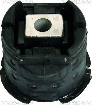 Triscan 8500 11847 - Suspension, corps de l'essieu droxauto.com