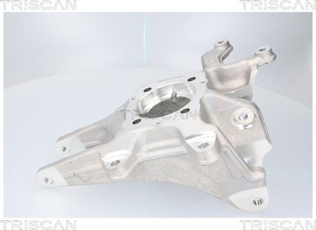 Triscan 8500 81713 - Fusée d'essieu, suspension de roue droxauto.com