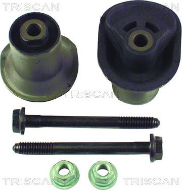 Triscan 8500 29829 - Suspension, corps de l'essieu droxauto.com