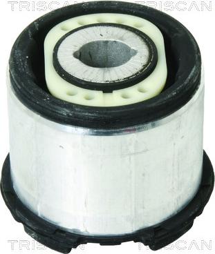 Triscan 8500 29873 - Suspension, corps de l'essieu droxauto.com