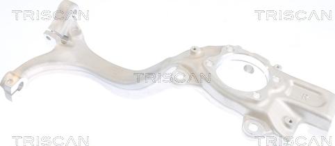 Triscan 8500 29706 - Fusée d'essieu, suspension de roue droxauto.com