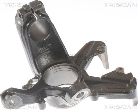 Triscan 8500 29701 - Fusée d'essieu, suspension de roue droxauto.com