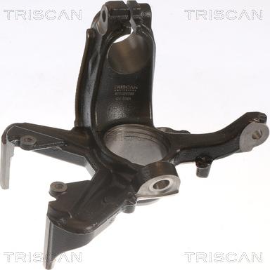 Triscan 8500 29702 - Fusée d'essieu, suspension de roue droxauto.com