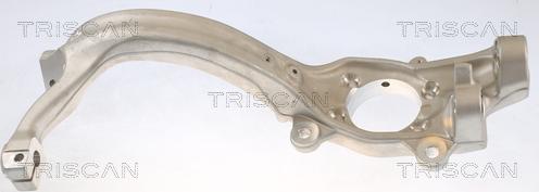 Triscan 8500 29719 - Fusée d'essieu, suspension de roue droxauto.com