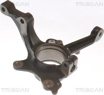 Triscan 8500 29718 - Fusée d'essieu, suspension de roue droxauto.com