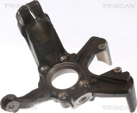 Triscan 8500 29713 - Fusée d'essieu, suspension de roue droxauto.com