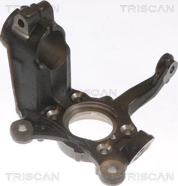 Triscan 8500 29712 - Fusée d'essieu, suspension de roue droxauto.com