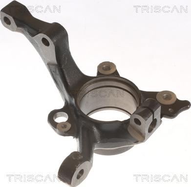 Triscan 8500 29717 - Fusée d'essieu, suspension de roue droxauto.com