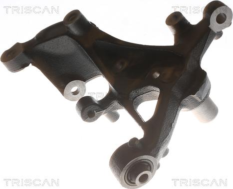 Triscan 8500 29724 - Fusée d'essieu, suspension de roue droxauto.com