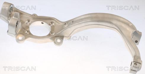 Triscan 8500 29720 - Fusée d'essieu, suspension de roue droxauto.com