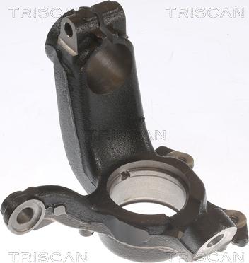 Triscan 8500 29721 - Fusée d'essieu, suspension de roue droxauto.com