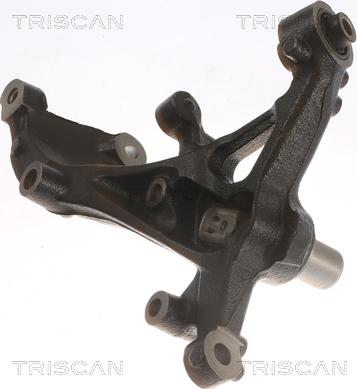 Triscan 8500 29723 - Fusée d'essieu, suspension de roue droxauto.com