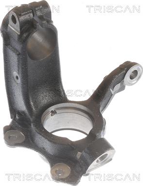 Triscan 8500 29722 - Fusée d'essieu, suspension de roue droxauto.com