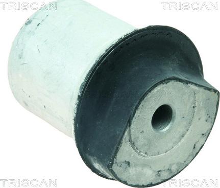 Triscan 8500 24843 - Suspension, corps de l'essieu droxauto.com