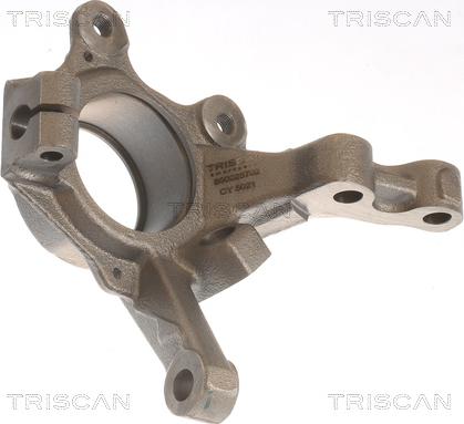 Triscan 8500 25702 - Fusée d'essieu, suspension de roue droxauto.com