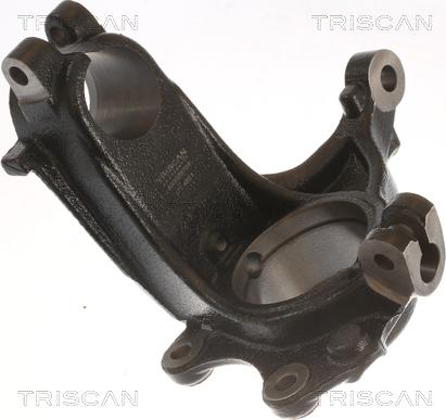 Triscan 8500 28704 - Fusée d'essieu, suspension de roue droxauto.com