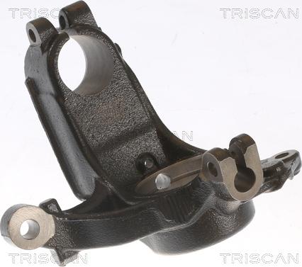 Triscan 8500 28703 - Fusée d'essieu, suspension de roue droxauto.com