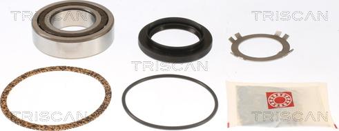 Triscan 8530 16217 - Kit de roulements de roue droxauto.com