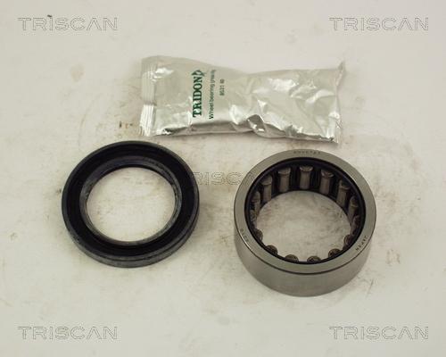 Triscan 8530 13212 - Kit de roulements de roue droxauto.com