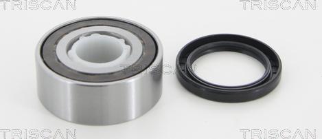 Triscan 8530 38201 - Kit de roulements de roue droxauto.com