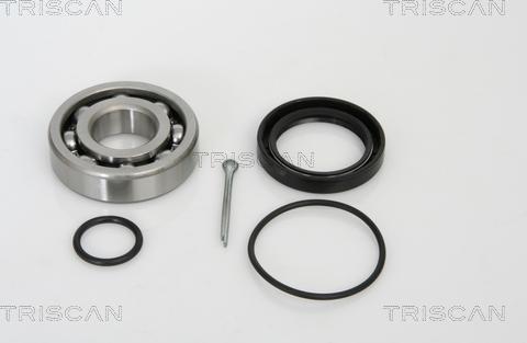 Triscan 8530 29204 - Kit de roulements de roue droxauto.com