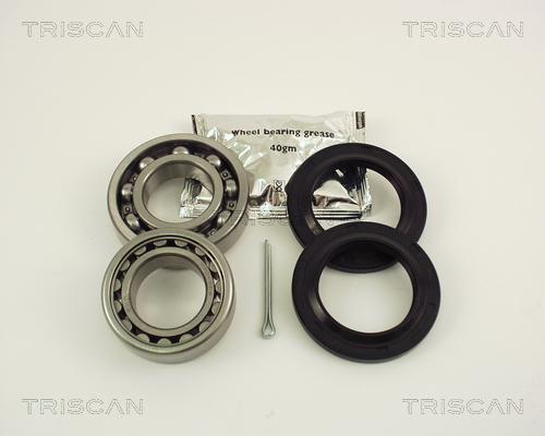 Triscan 8530 29206 - Kit de roulements de roue droxauto.com