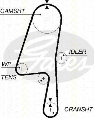 Triscan 8645 5580xs - Courroie de distribution droxauto.com
