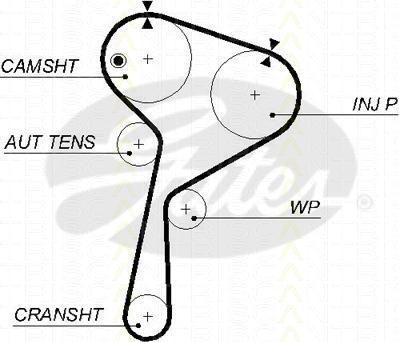 Triscan 8645 5578xs - Courroie de distribution droxauto.com