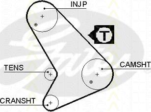 Triscan 8645 5572xs - Courroie de distribution droxauto.com