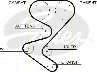 Triscan 8645 5608xs - Courroie de distribution droxauto.com