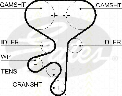 Triscan 8645 5603xs - Courroie de distribution droxauto.com