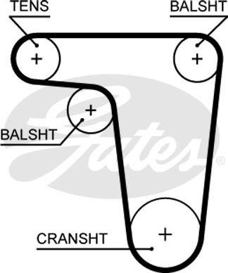 Triscan 8645 5618xs - Courroie de distribution droxauto.com