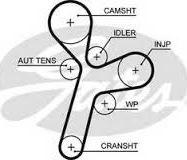 Triscan 8645 5634xs - Courroie de distribution droxauto.com