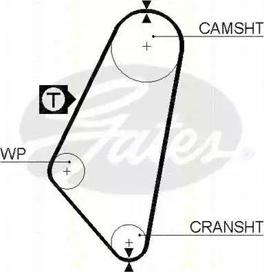 Triscan 8645 5052 - Courroie de distribution droxauto.com
