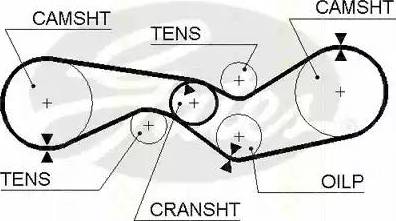 Triscan 8645 5012 - Courroie de distribution droxauto.com