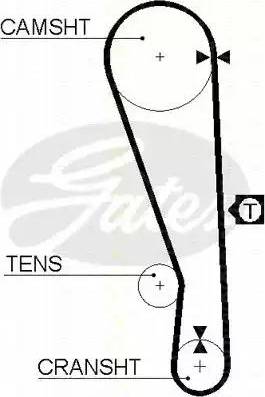 Triscan 8645 5036 - Courroie de distribution droxauto.com