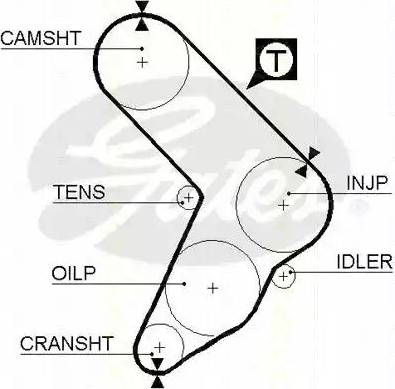 Triscan 8645 5032 - Courroie de distribution droxauto.com