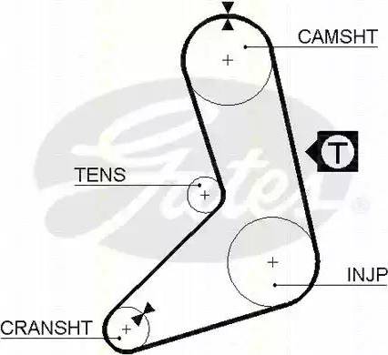 Triscan 8645 5079 - Courroie de distribution droxauto.com
